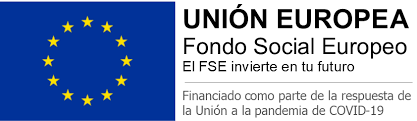 Logo FSE2021 22